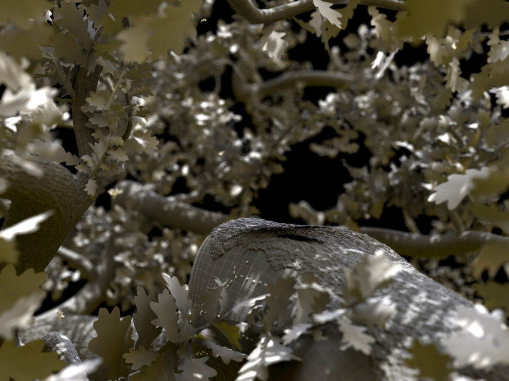 3d-squirel-background-texturing-wire