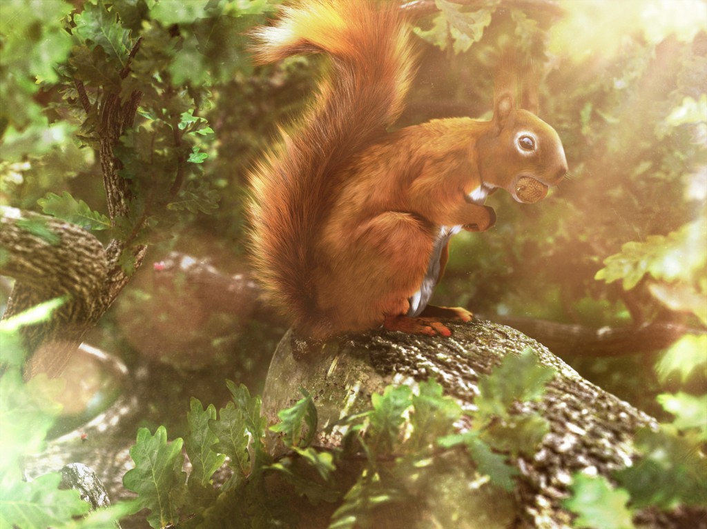 3d-squirel-complete